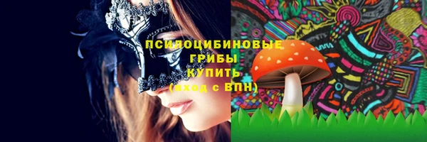 альфа пвп Дмитровск